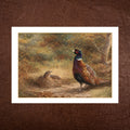 Pheasant Greeting Card