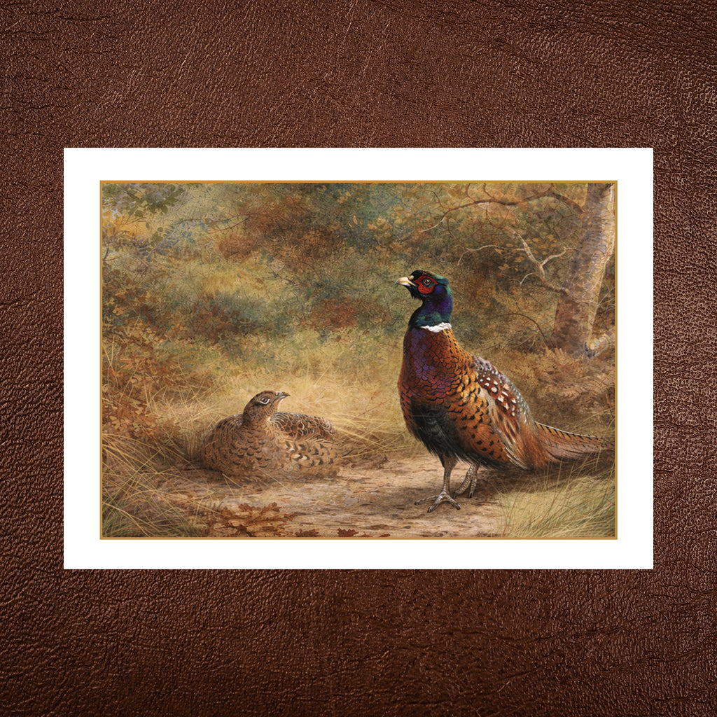 Pheasant Greeting Card