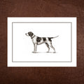 English Pointer Greeting Card
