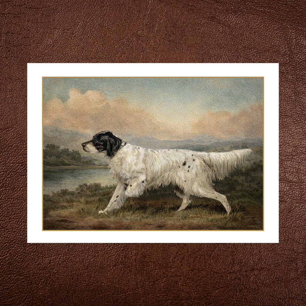 English Setter Greeting Card